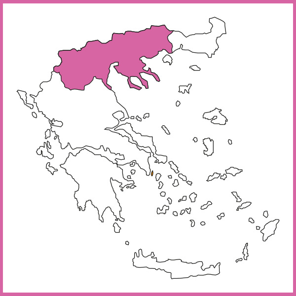 Tribute to Grape Harvest - Gastronomy Tours ΜΑΚΕΔΟΝΙΑ - Gastronomy Tours